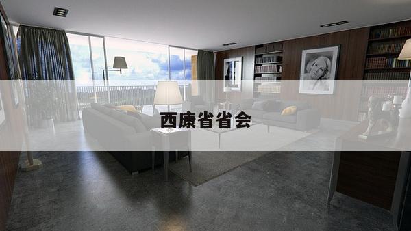 西康省省会