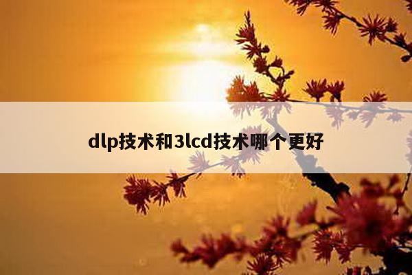 dlp技术和3lcd技术哪个更好
