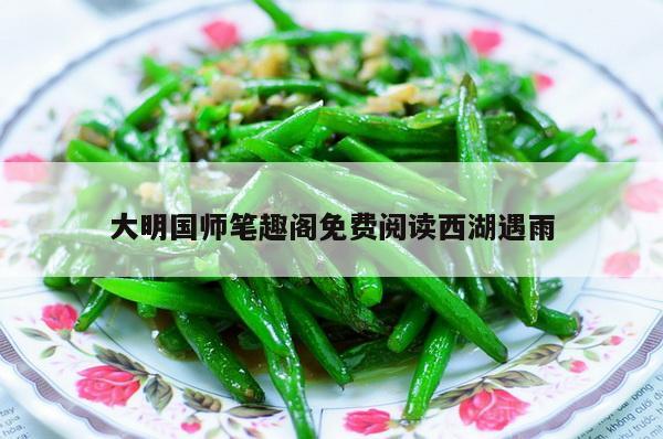 大明国师笔趣阁免费阅读西湖遇雨
