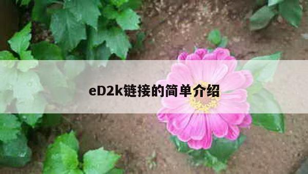 eD2k链接的简单介绍