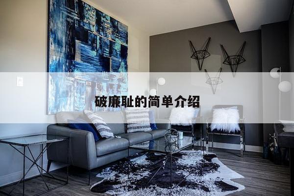 破廉耻的简单介绍