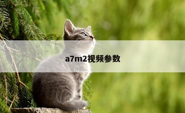 a7m2视频参数