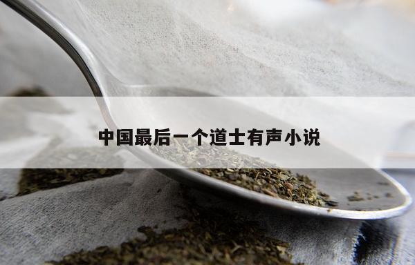 中国最后一个道士有声小说