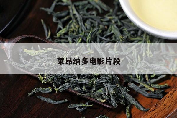 莱昂纳多电影片段