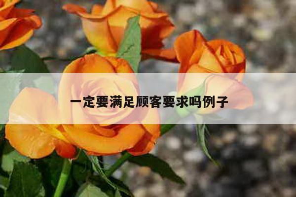 一定要满足顾客要求吗例子